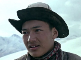 Ранние журавли