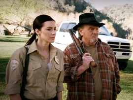 Акульи плотины