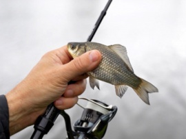 Мормышинг. В конце лета на пруду