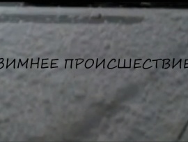 Зимнее происшествие