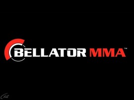 Смешанные единоборства. Bellator