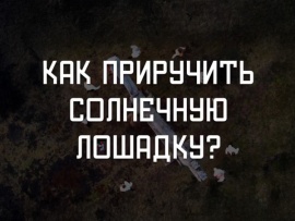 Как приручить солнечную лошадку