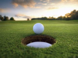 Гольф. PGA Tour. Japan Championship. Финальный раунд. Прямая трансляция