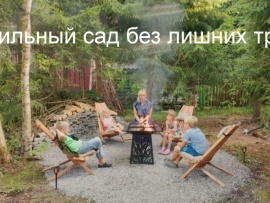 Стильный сад без лишних трат