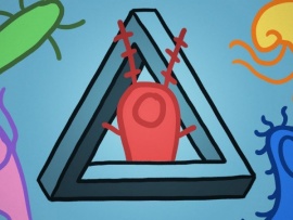 Парадокс планктона