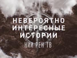 Невероятно интересные истории