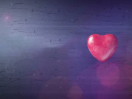 Любимая работа