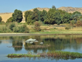 Дикий Египет