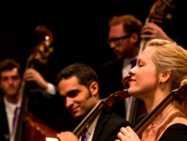 Камерный оркестр фестиваля Вербье