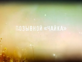 Позывной Чайка