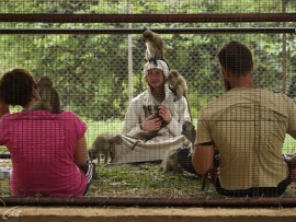 Волонтёры (2)