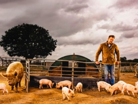 От весны до осени на ферме Джимми