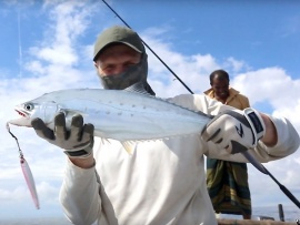 Морские бродяги