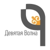9 волна