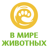 В мире животных
