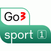 Go3 Sport 1