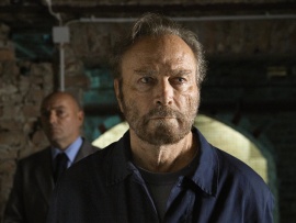 Дело Коллини (3)