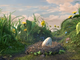 Славные пташки (5)