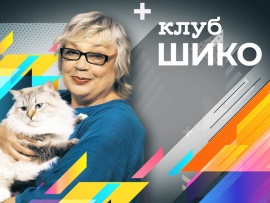 Клуб Шико