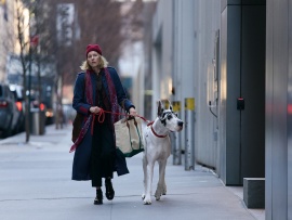 Верный друг (4)