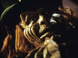 Лепрекон 5: Сосед (5)