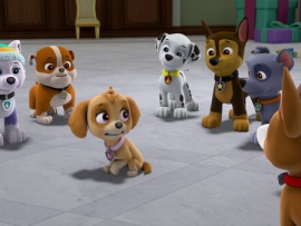 Щенячий патруль: Улетная помощь (3)