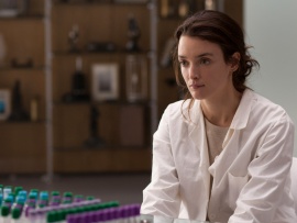 Любовь и пингвины