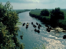 Дельта (4)