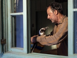 Мой пингвин