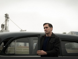 Дикая жизнь (6)