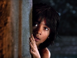 Книга джунглей (5)