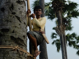 Путь к свободе (4)