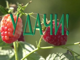 Удачи