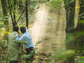 Лес самоубийц (4)