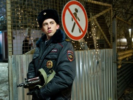 Страна чудес (5)