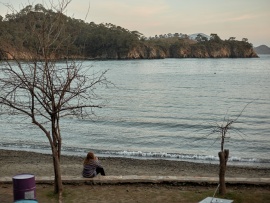 Пингвины моей мамы (4)