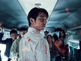 Поезд в Пусан (6)