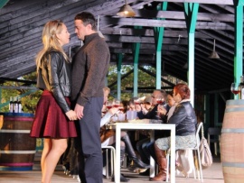 Истина в вине