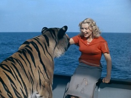 Полосатый рейс