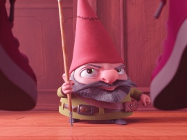 Гномы в доме (6)