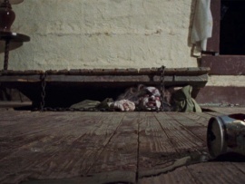 Зловещие мертвецы (3)