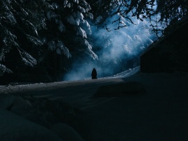 Голоса (4)
