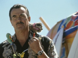 Вместе с Дидлами (4)