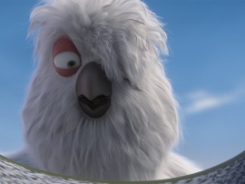 Славные пташки (3)