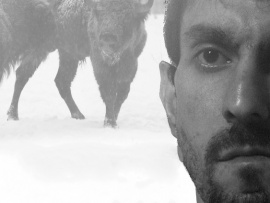 Презумпция согласия