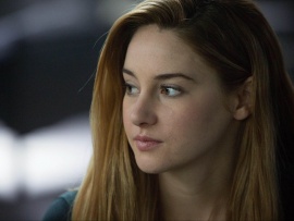 Дивергент (3)