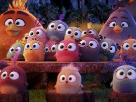 Angry Birds в кино (4)