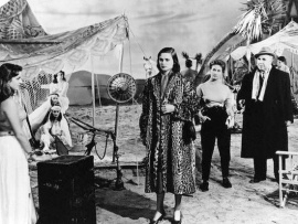 Дама без камелий (2)