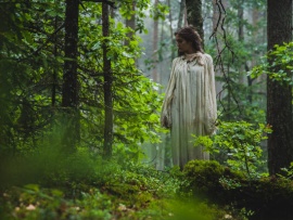 Пропавшая (5)