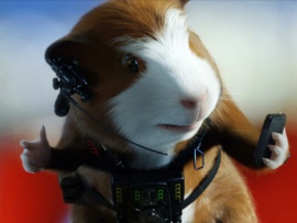 Миссия Дарвина (4)